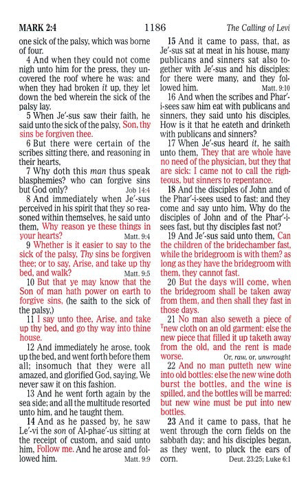 KJV Large Print Sportsman's Bible Mothwing Camouflage