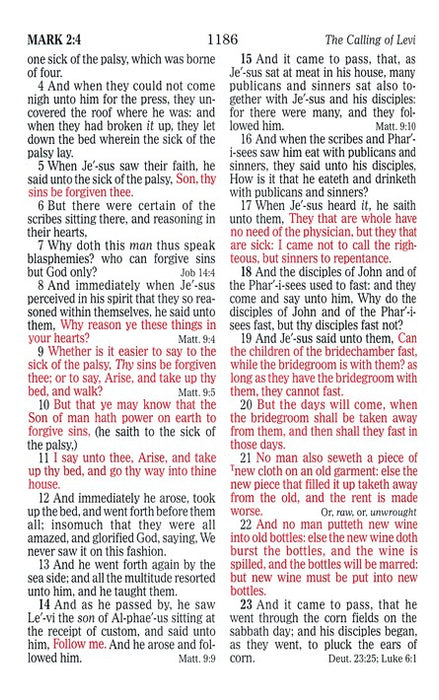 KJV Large Print Sportsman's Bible Mothwing Camouflage