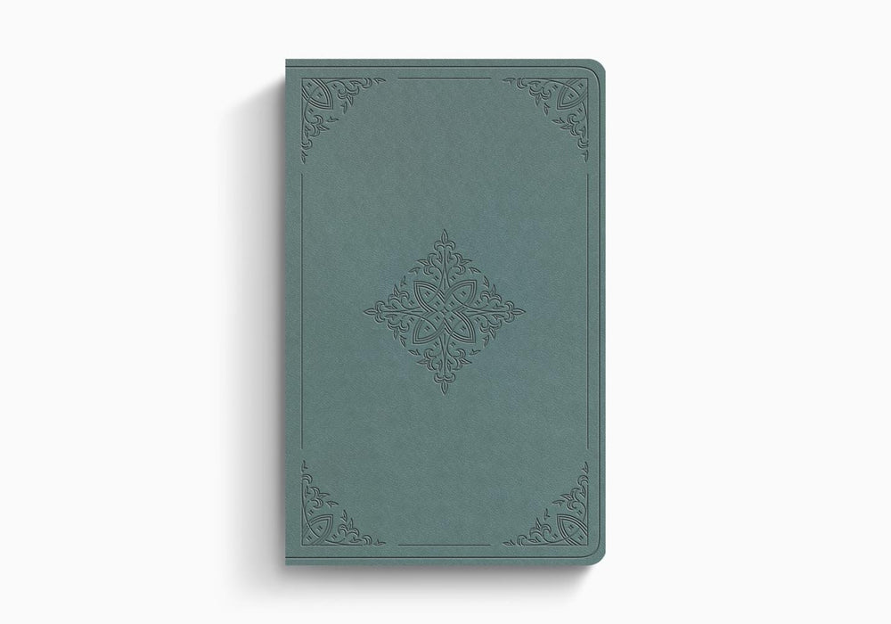 ESV Value Thinline Bible Paris Sky, Trutone