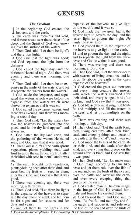 NASB 1995 Children's Edition Dawn Blue Faux Leather, Indexed