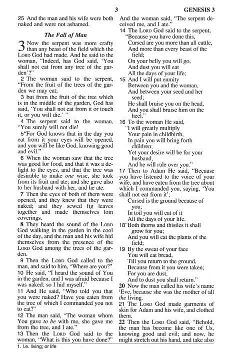 NASB 1995 Children's Edition Dawn Blue Faux Leather, Indexed