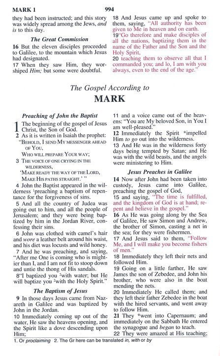 NASB 1995 Children's Edition Dawn Blue Faux Leather, Indexed