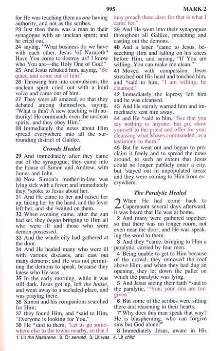 NASB 1995 Children's Edition Midnight Black Camo Faux Leather, Indexed