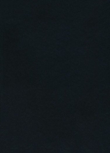 Legacy Standard Bible New Testament with Psalms and Proverbs