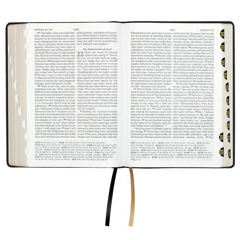 Legacy Standard Giant Print Reference Bible, Black Faux Leather, Indexed