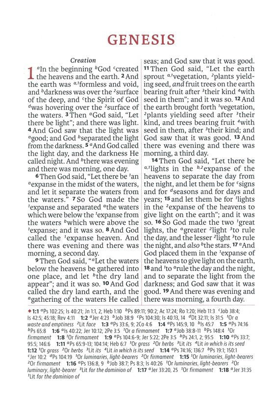Legacy Standard Giant Print Reference Bible, Black Faux Leather, Indexed
