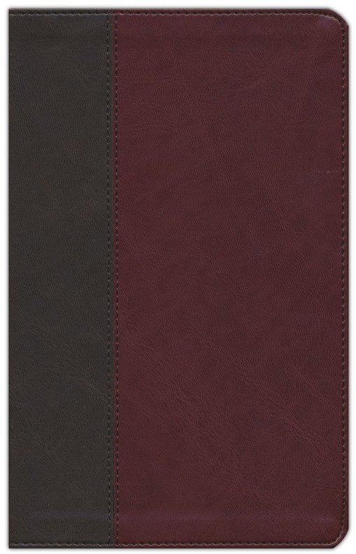 KJV Personal Size Giant Print Bible Brown/Mahogany Indexed
