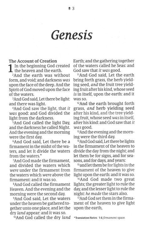 KJV Personal Size Giant Print Bible Brown/Mahogany Indexed