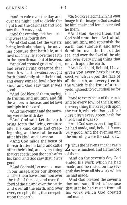 KJV Personal Size Giant Print Bible Brown/Mahogany Indexed