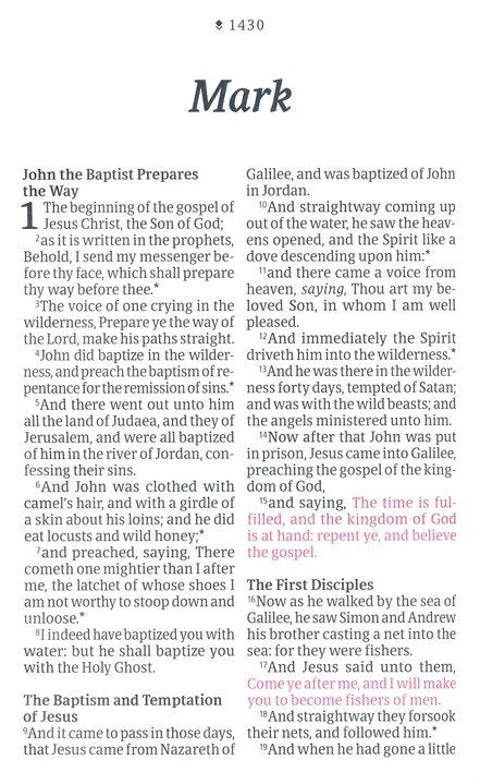 KJV Personal Size Giant Print Bible Brown/Mahogany Indexed