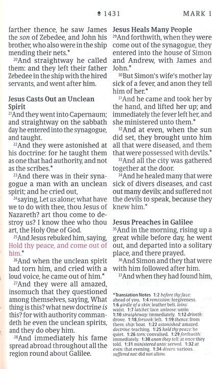 KJV Personal Size Giant Print Bible Brown/Mahogany Indexed