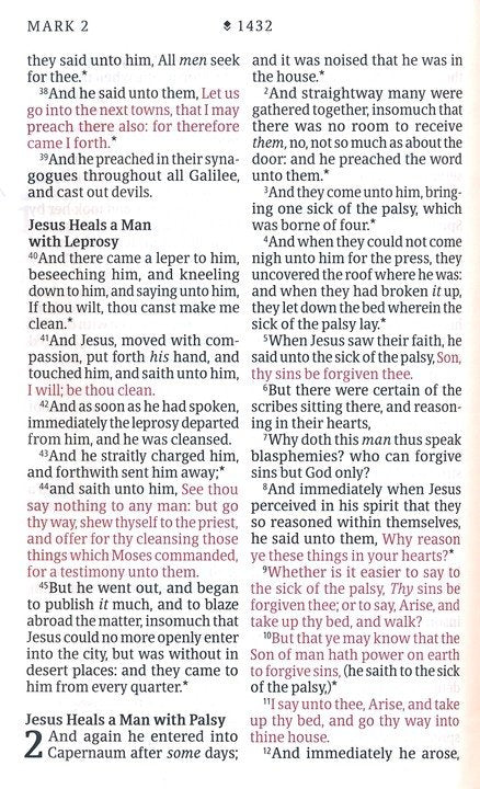 KJV Personal Size Giant Print Bible Brown/Mahogany Indexed