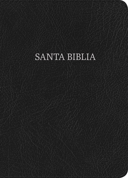 RVR 1960 Biblia Letra Grande Tamano Manual (RVR 1960 Hand Sized Giant Print)