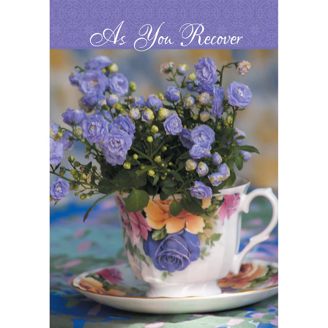 Boxed Cards Get Well Joyful Noise