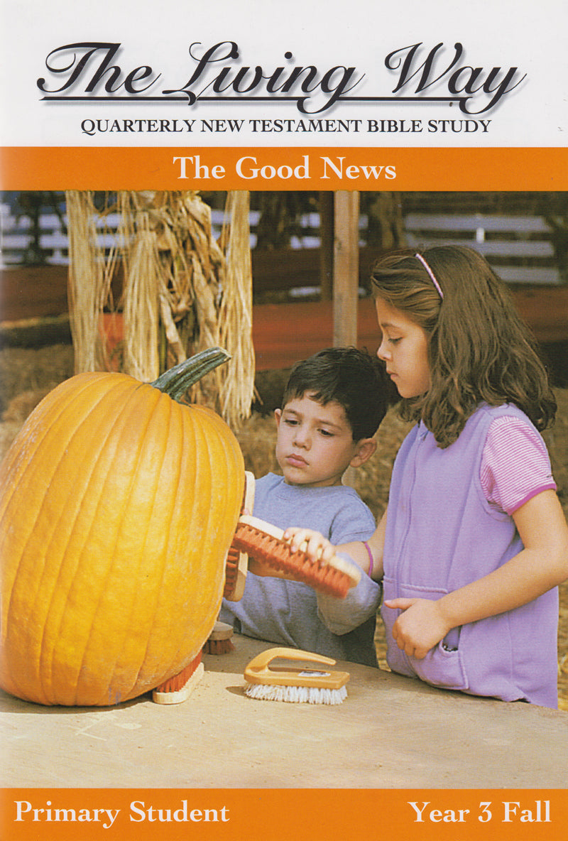 Primary 3:1 - The Good News