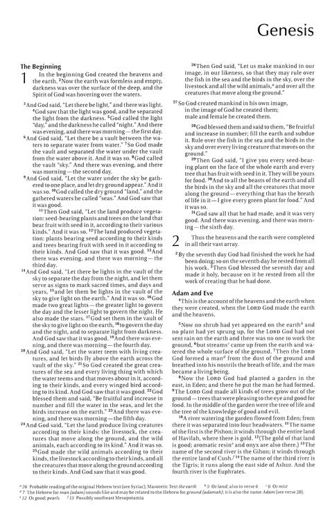 NIV Waterproof Bible Camoflague Cover