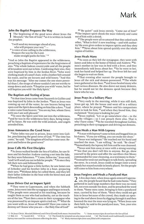 NIV Waterproof Bible Camoflague Cover