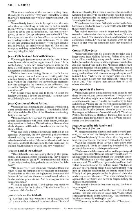 NIV Waterproof Bible Camoflague Cover