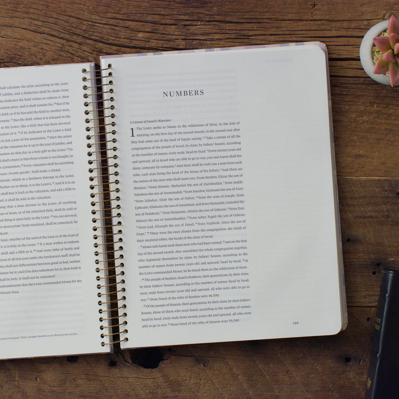 ESV Spiral-Bound Journaling Bible: Pentateuch Artist Edition