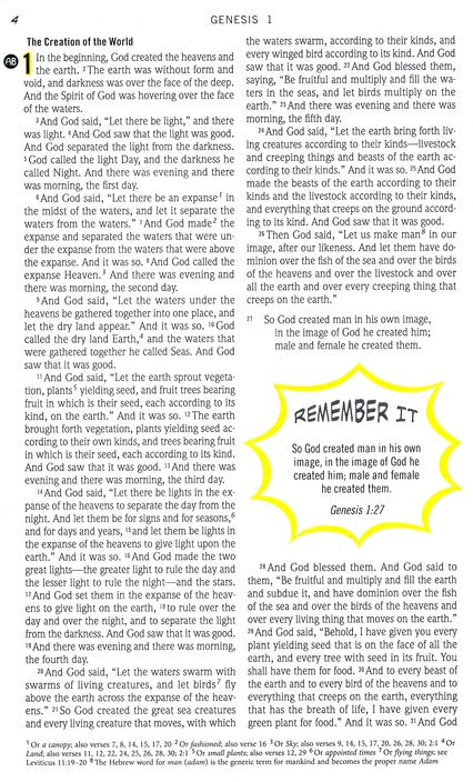 ESV The Action Bible Study Bible Lavender Virtual Leather