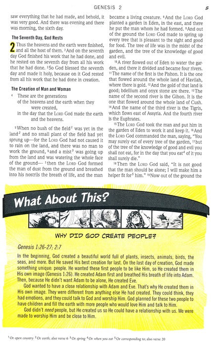 ESV The Action Bible Study Bible Lavender Virtual Leather