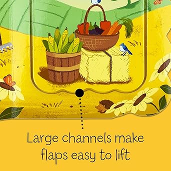 All God's Creatures Lift-a-Flap (Little Sunbeams)