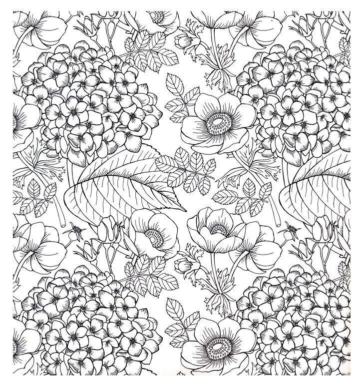 Be Still & Know Adult Coloring Book