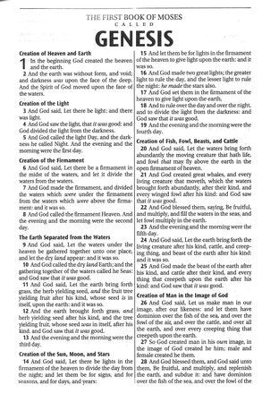 KJV Mini Pocket Bible Pink/Tan with Zipper Closure