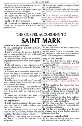 KJV Mini Pocket Bible Pink/Tan with Zipper Closure