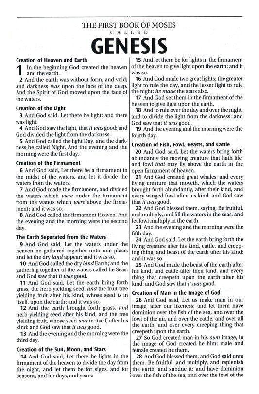 KJV Large Print Thinline Bible Zipper Black Indexed