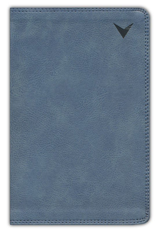 NBLA Biblia de Estudio, Gris (NBLA Study Bible Gray Leathersoft)