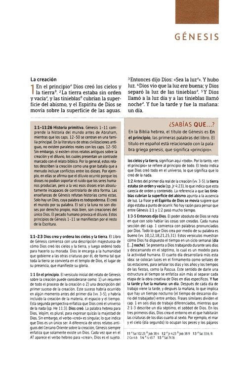 NBLA Biblia de Estudio, Gris (NBLA Study Bible Gray Leathersoft)