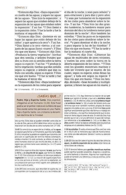 NBLA Biblia de Estudio, Gris (NBLA Study Bible Gray Leathersoft)