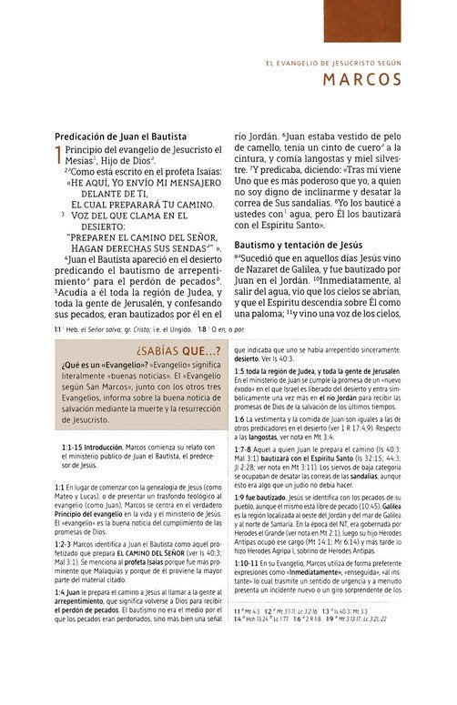 NBLA Biblia de Estudio, Gris (NBLA Study Bible Gray Leathersoft)