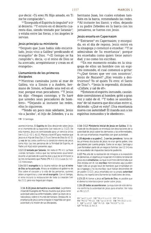 NBLA Biblia de Estudio, Gris (NBLA Study Bible Gray Leathersoft)