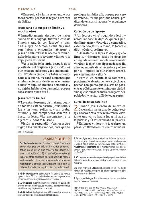 NBLA Biblia de Estudio, Gris (NBLA Study Bible Gray Leathersoft)