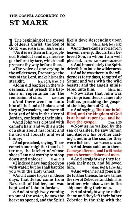 KJV Large Print Personal Size Reference Bible, Navy LeatherTouch Indexed