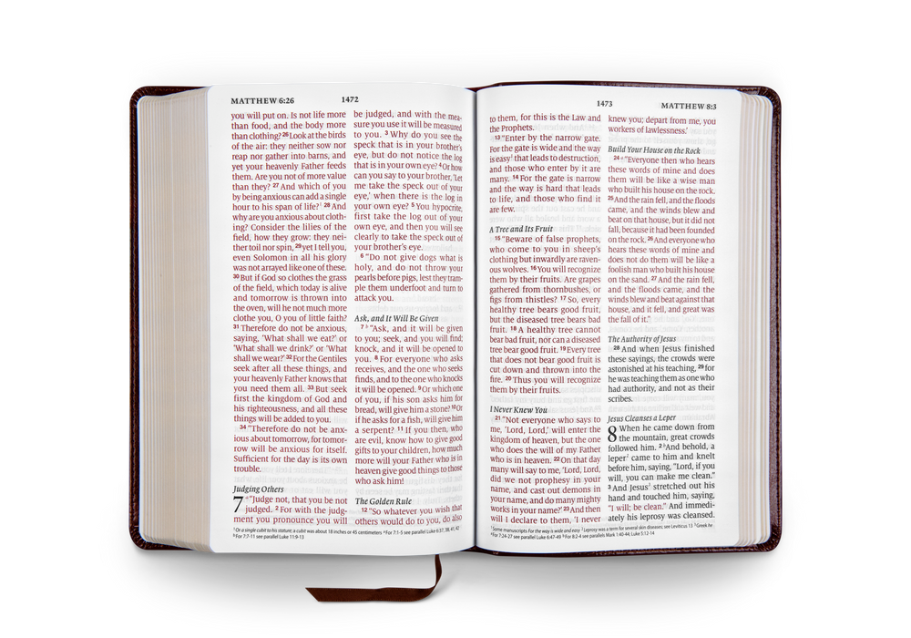 ESV Large Print Personal Size Bible TruTone, Mahogany