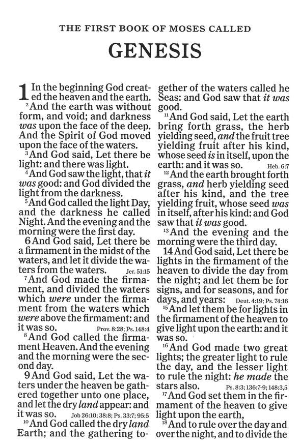 KJV Super Giant Print Reference Bible Black/Brown Leathertouch