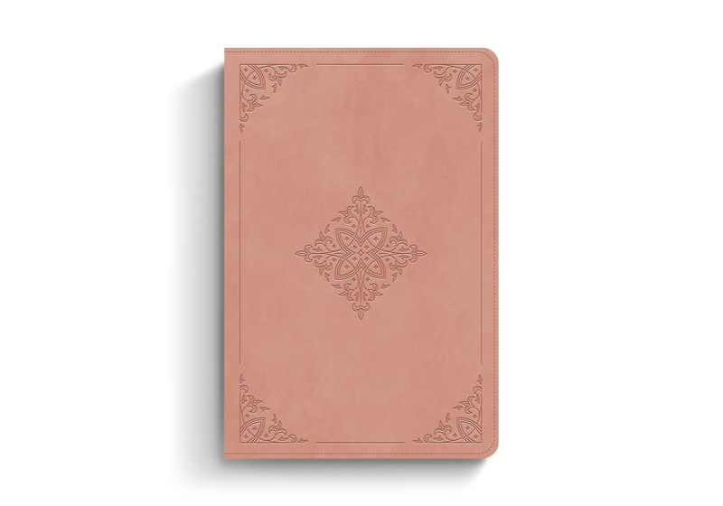 ESV Bible: Dyslexia-Friendly Edition Blush Rose TruTone