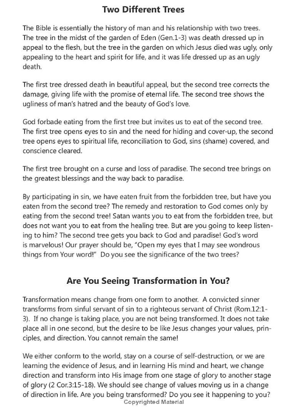 Daily Points of Light From Heaven