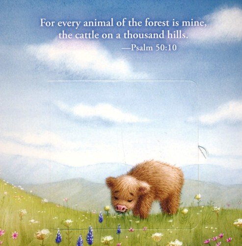 Great and Small Bible Animals Lift-the-Flap Board Book