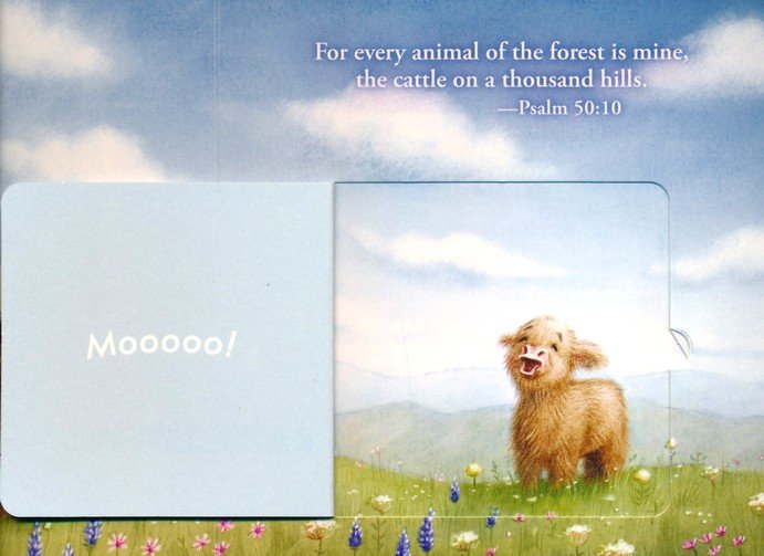 Great and Small Bible Animals Lift-the-Flap Board Book