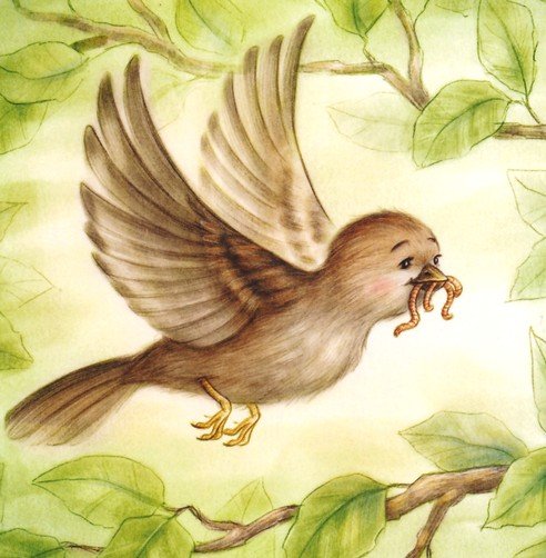 Great and Small Bible Animals Lift-the-Flap Board Book