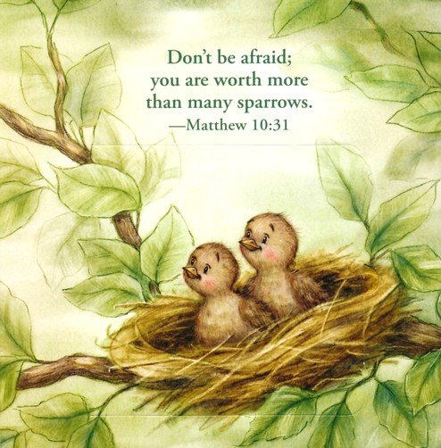 Great and Small Bible Animals Lift-the-Flap Board Book