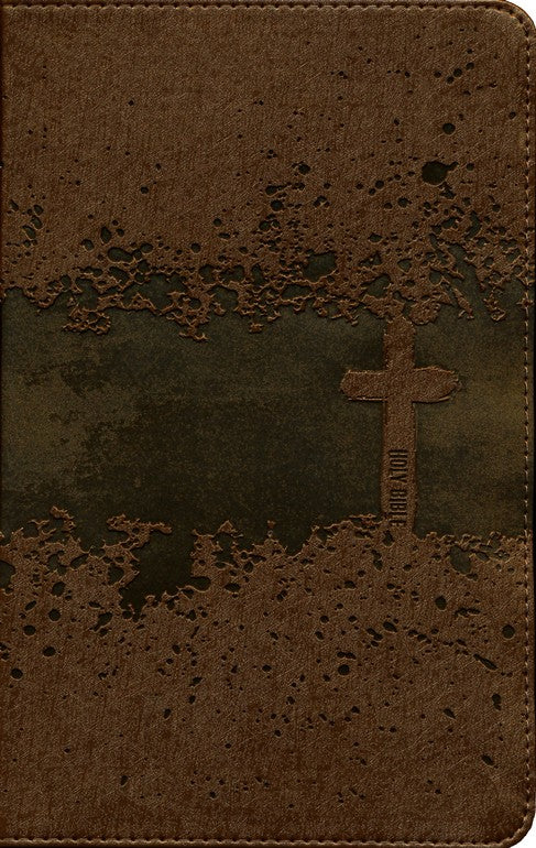 NIV Kids' Visual Study Bible Brown Leathersoft