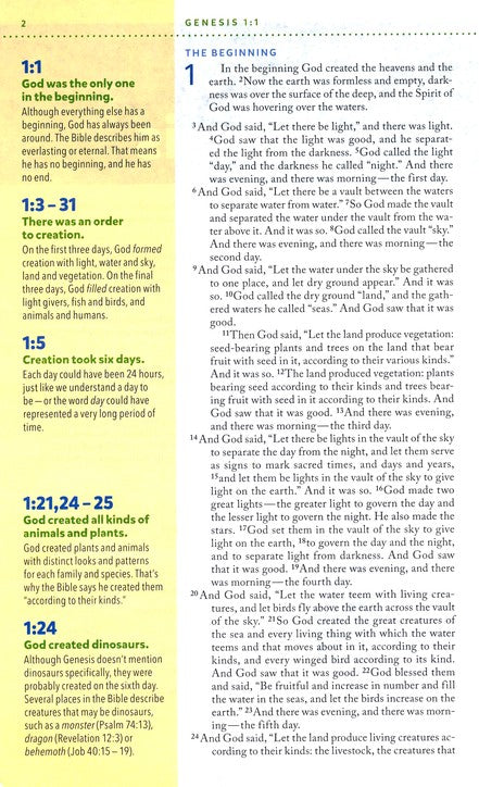 NIV Kids' Visual Study Bible Brown Leathersoft