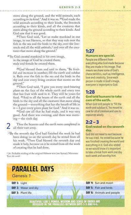 NIV Kids' Visual Study Bible Brown Leathersoft