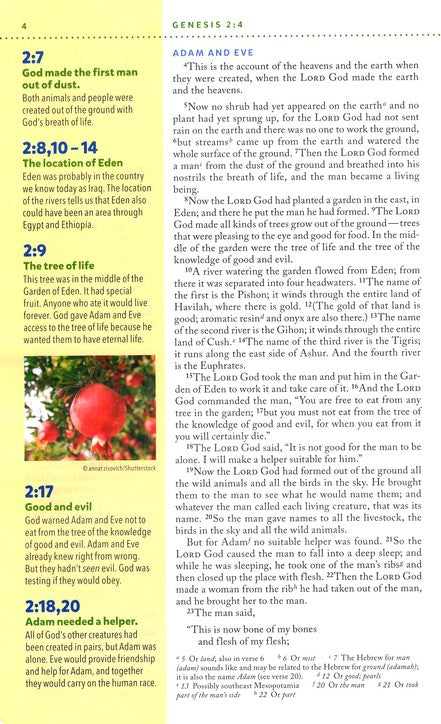 NIV Kids' Visual Study Bible Brown Leathersoft