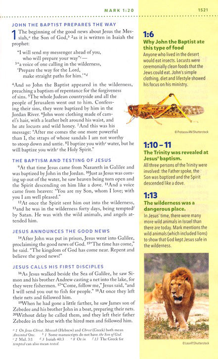 NIV Kids' Visual Study Bible Brown Leathersoft